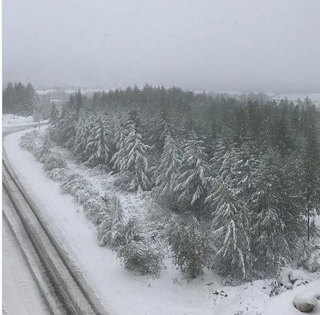 Просто летний снег прошёл, обычный летний снег: как выглядит Якутия после августовского снегопада