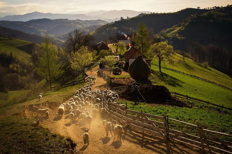 50 причин посетить Румынию, где прекрасно, кажется, всё