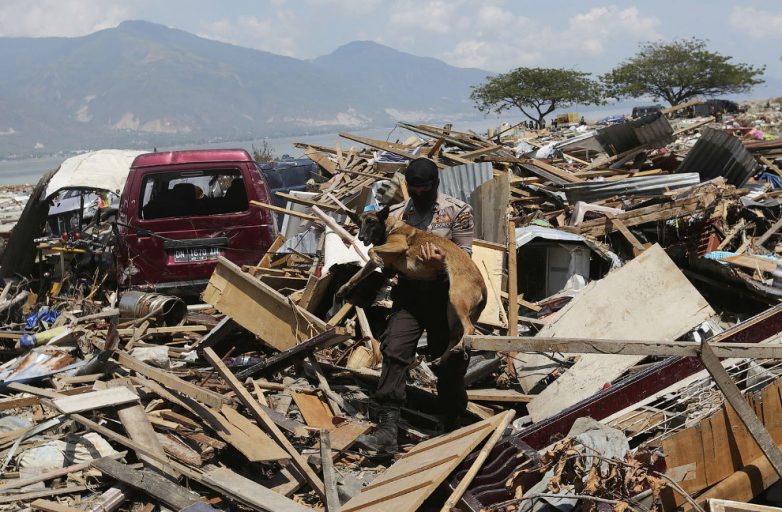 Чудовищные последствия землетрясения в Индонезии