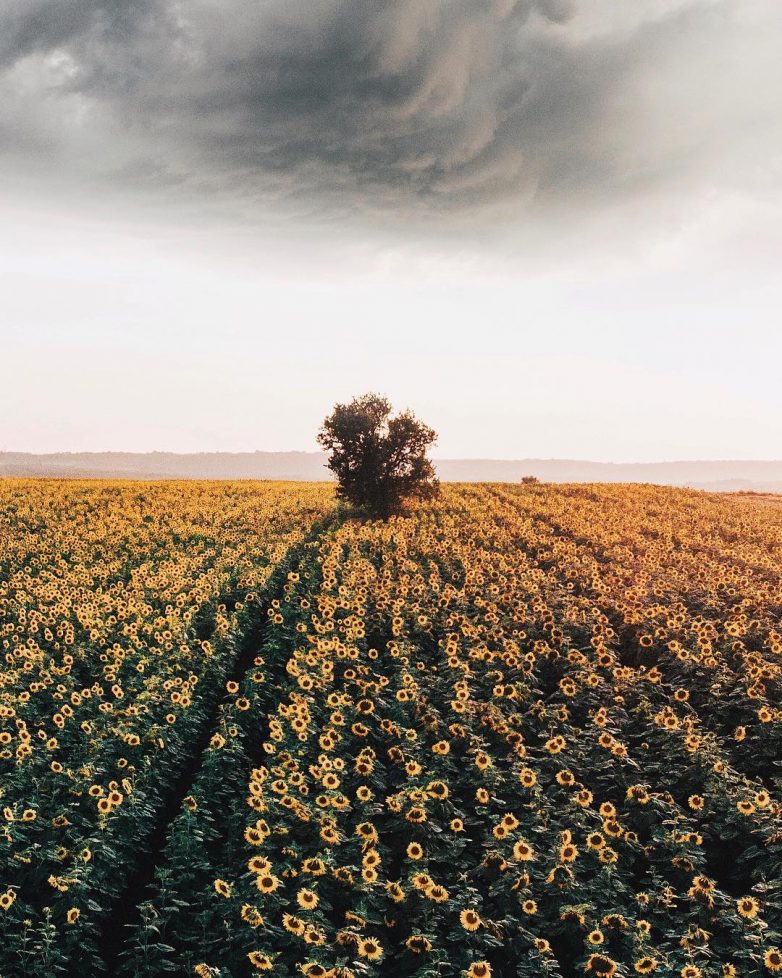 Потрясающие тревел-снимки Ахмета Эрдема
