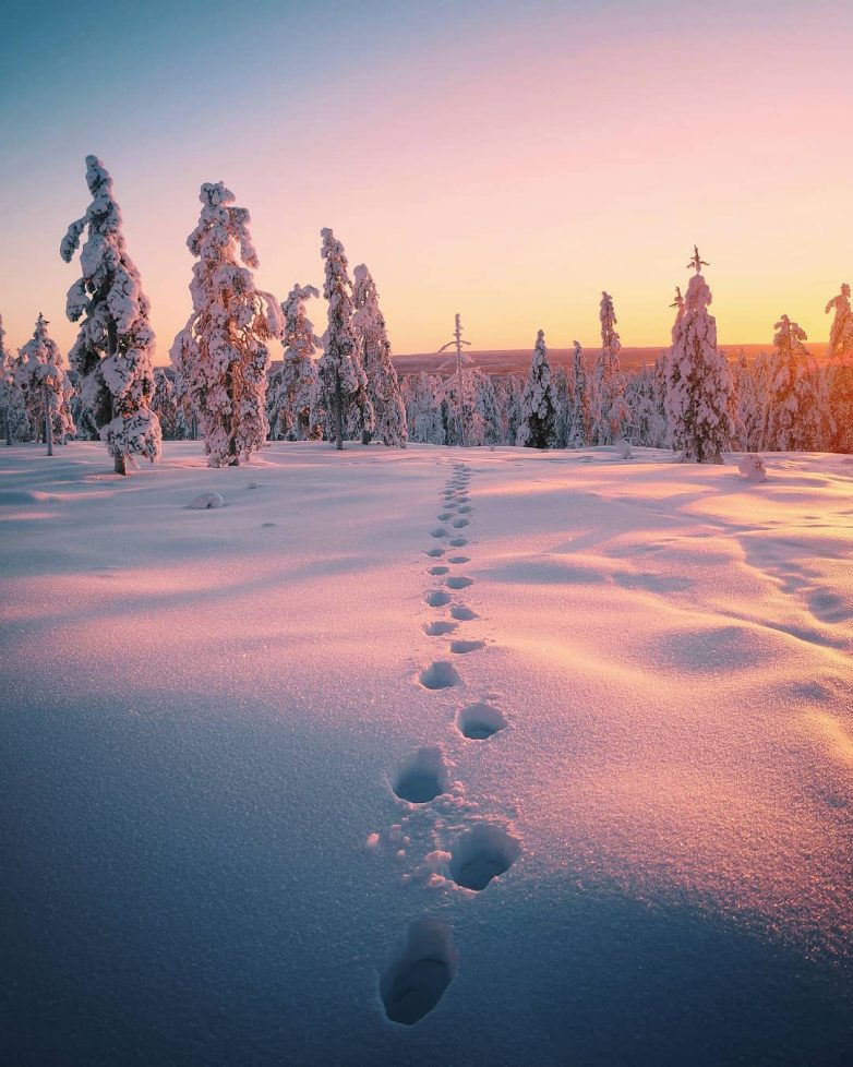 Сказочный сосед: Финляндия на снимках Эсси Траутвейн