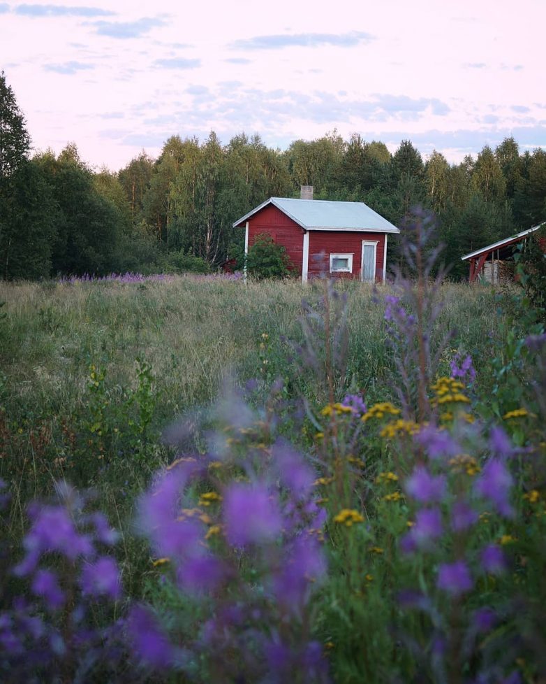 Сказочный сосед: Финляндия на снимках Эсси Траутвейн
