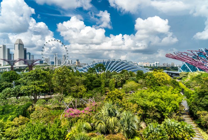 12 удивительных фактов о Сингапуре, который просто космос