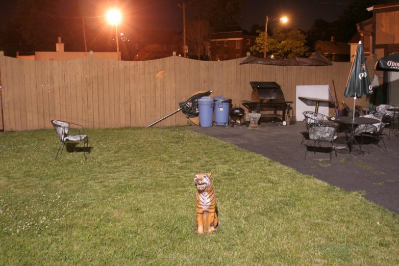 Колоритный фотопроект, рассказывающий о жизни окраин Детройта