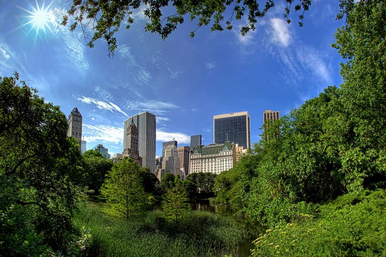 Виртуальная прогулка по Центральному парку Нью-Йорка