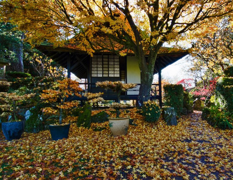 И такое бывает: знаменитые японские сады за пределами Японии