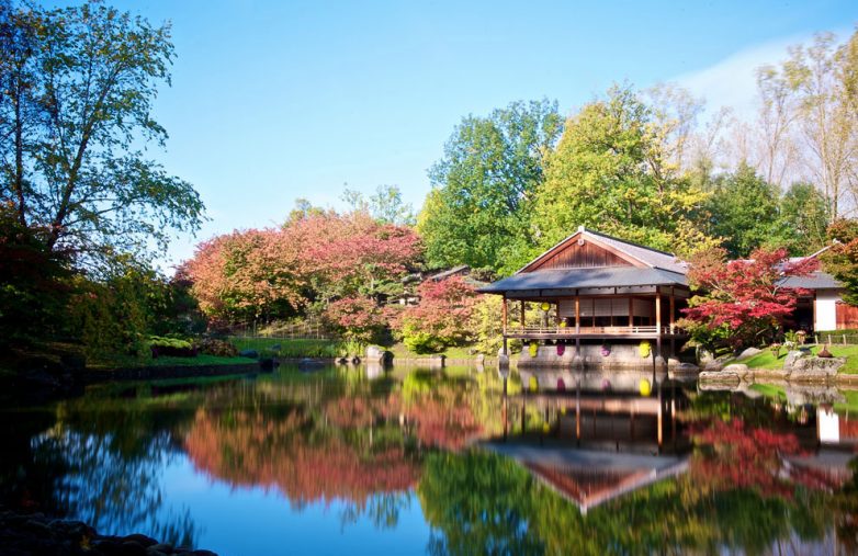 И такое бывает: знаменитые японские сады за пределами Японии