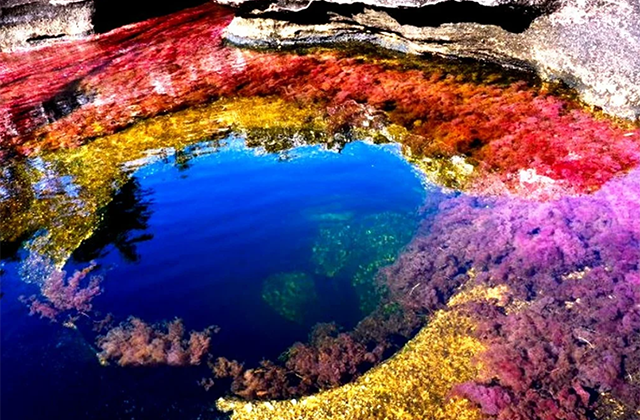 Самые удивительные реки планеты, меняющие представление о реальности и законах физики