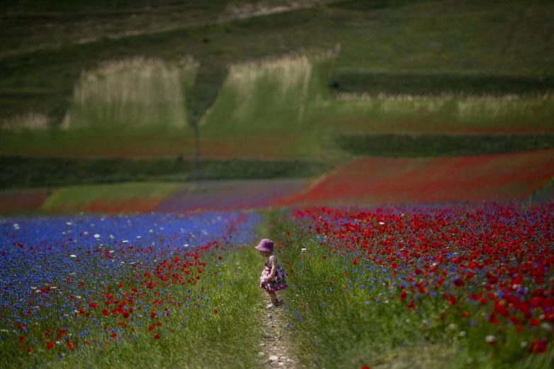 Виртуальная прогулка по живописной итальянской долине