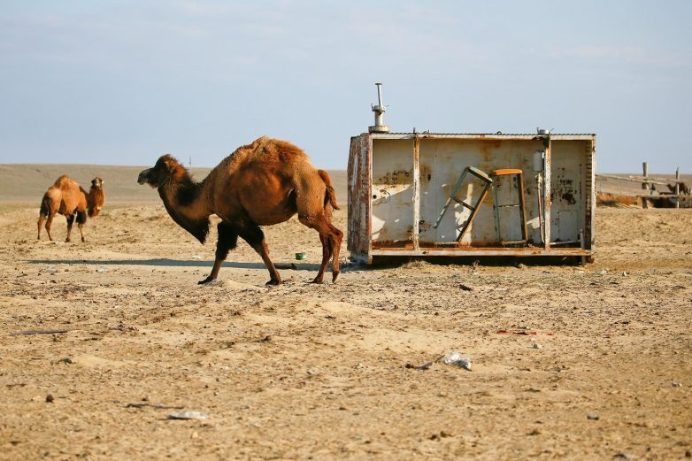 Природный памятник человеческой глупости: что осталось от Аральского моря