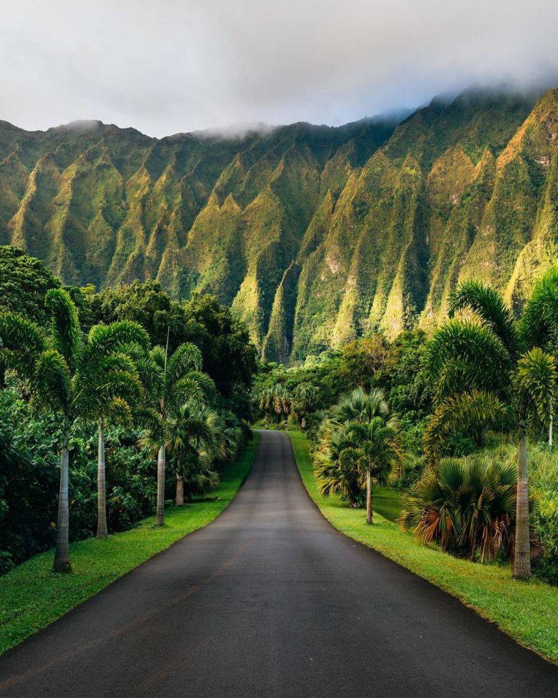 Гавайи: уголок земли, в который нельзя не влюбиться.