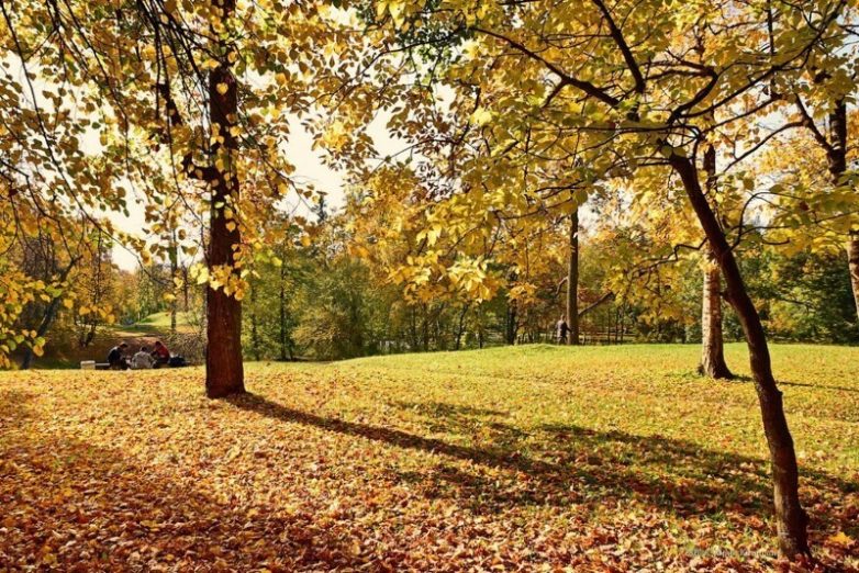 Бесподобный Гатчинский парк осенью