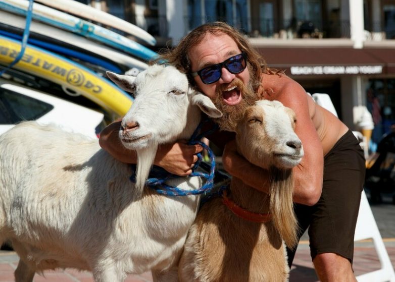 Прирождённые педагоги: в Калифорнии детей сёрфингу обучают... козы