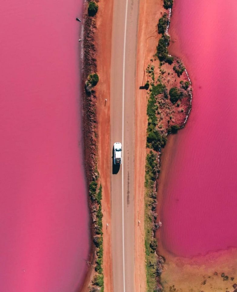 Удивительная розовая лагуна в Австралии