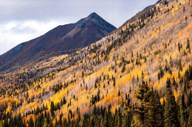 Тревел-снимки, сделанные в национальных парках США