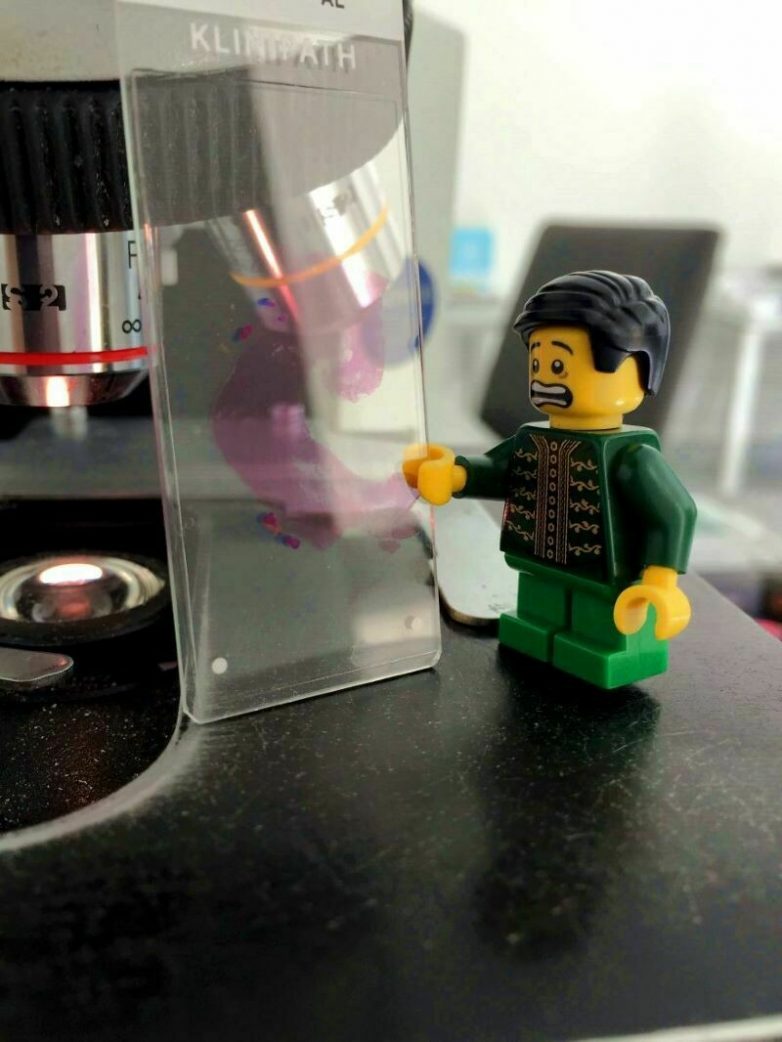 Девушка путешествует со своим бойфрендом — человечком из конструктора LEGO