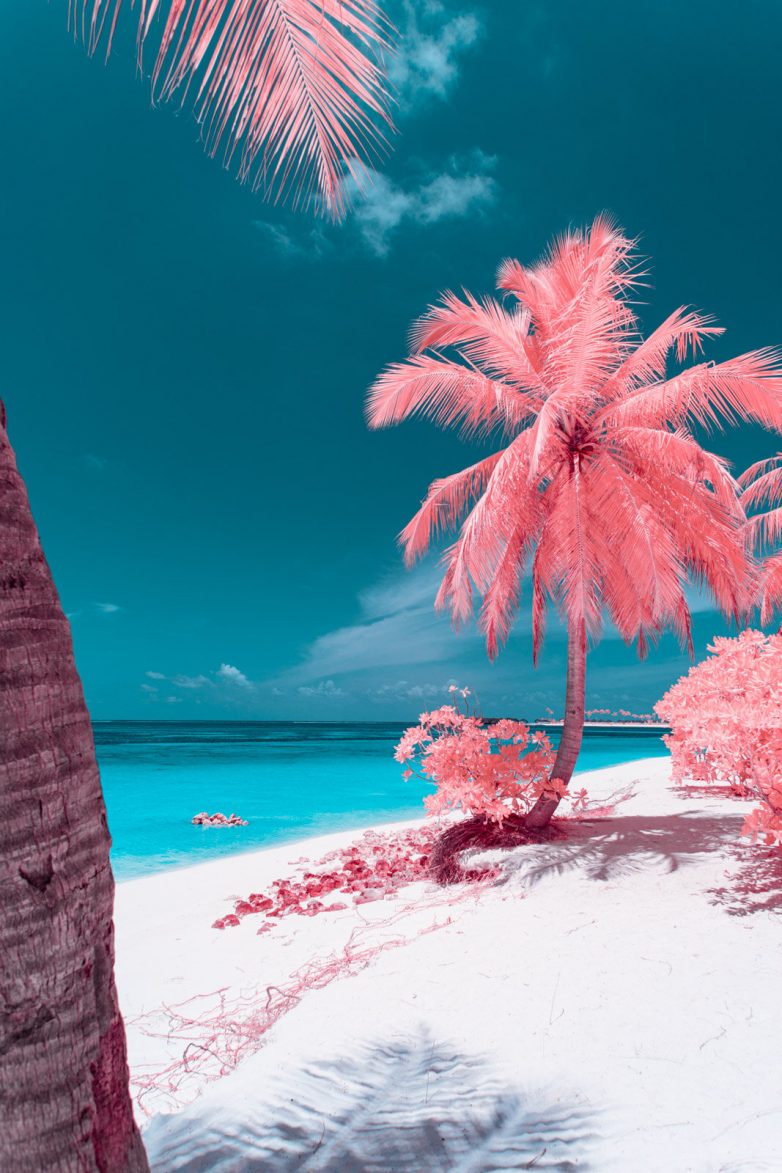 Сюрреалистические фотопейзажи планеты Земля, выполненные в инфракрасном цвете