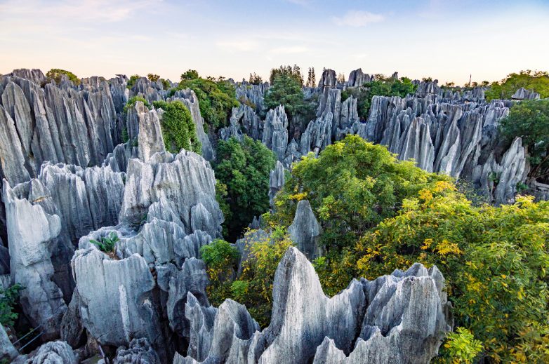 Каменный лес Шилинь — необычная достопримечательность Китая