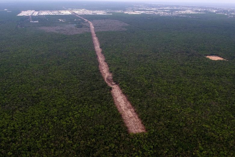 Человек vs. природа: маршрут «Поезд майя» может уничтожить уникальную экосистему