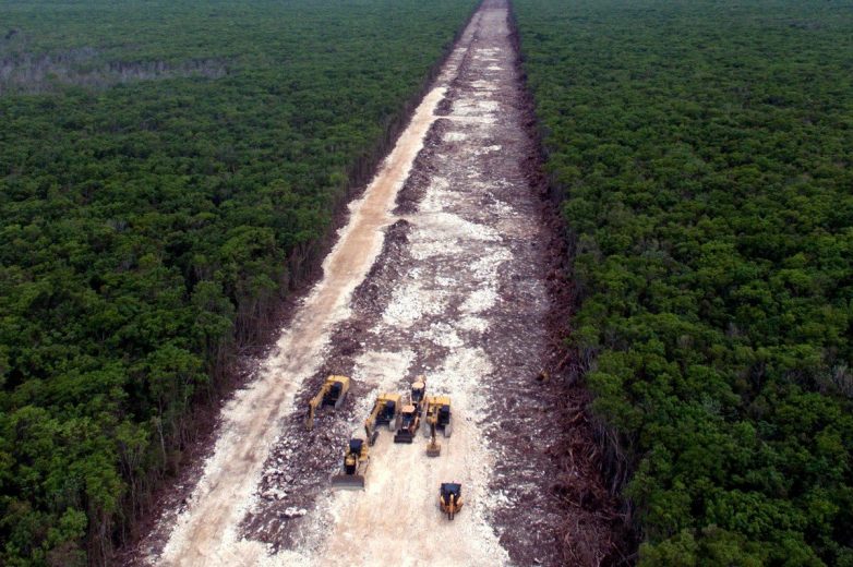 Человек vs. природа: маршрут «Поезд майя» может уничтожить уникальную экосистему