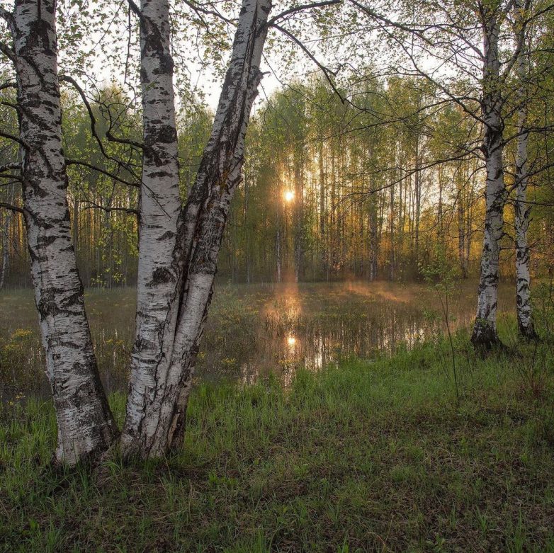 Пейзажи Кировской земли