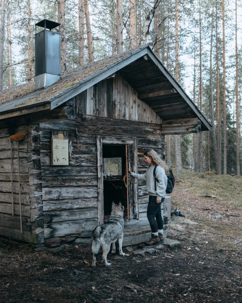 Финские пейзажи как особый вид искусства