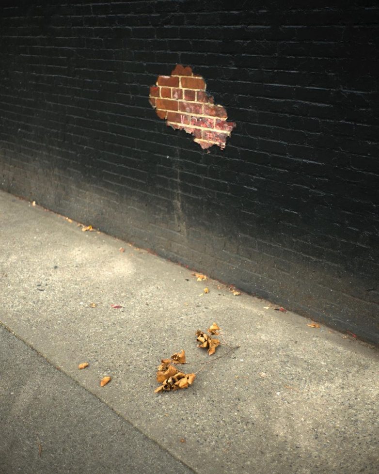 Удивительные совпадения и ситуации на улицах Нью-Йорка, попавшие в кадр