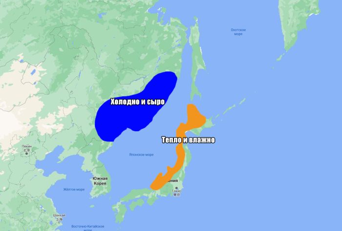 Почему по Владивостоке и Японии такой разный климат?