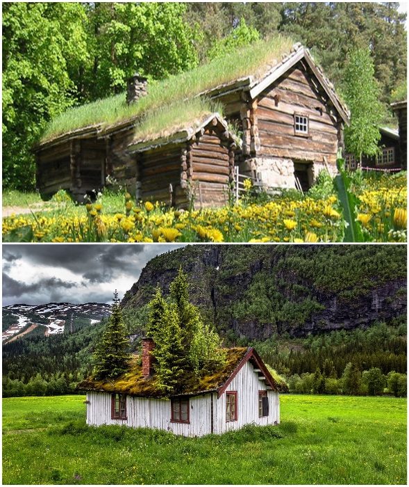 Необычная традиция: зачем жители Скандинавии выращивают траву на крышах?