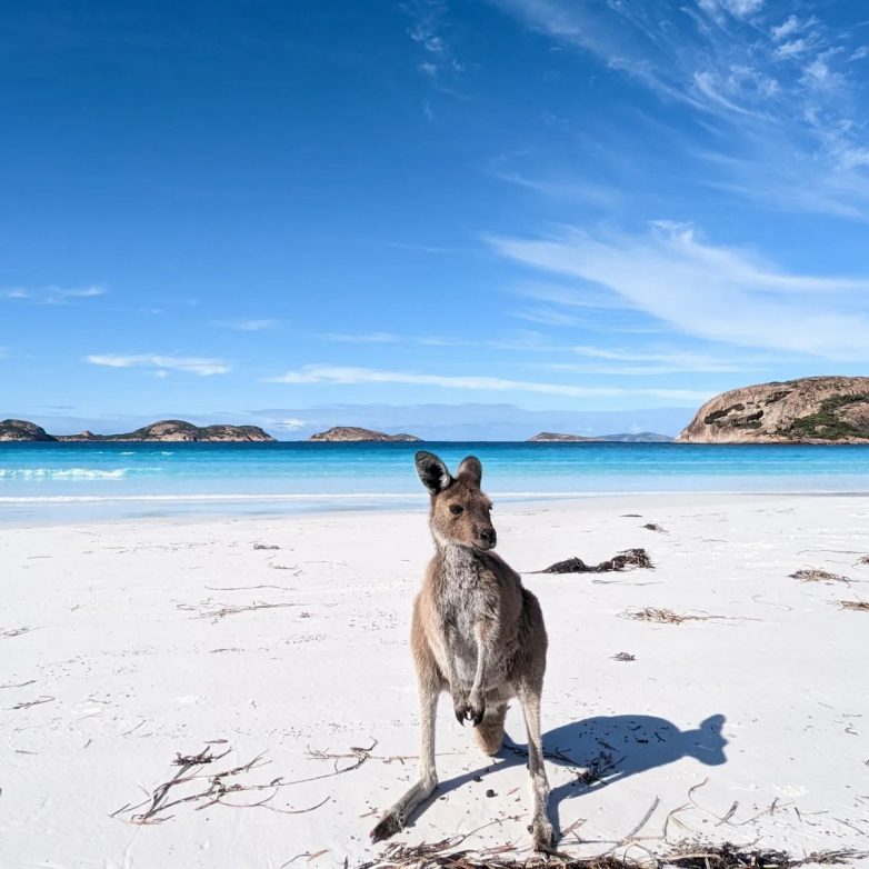 Австралийский пляж в заливе Лаки был признан лучшим в мире