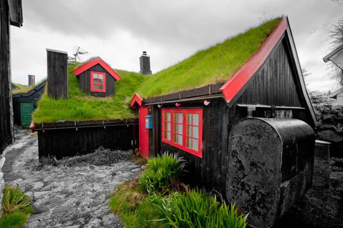 Для чего в странах Скандинавии засаживают травой крыши домов