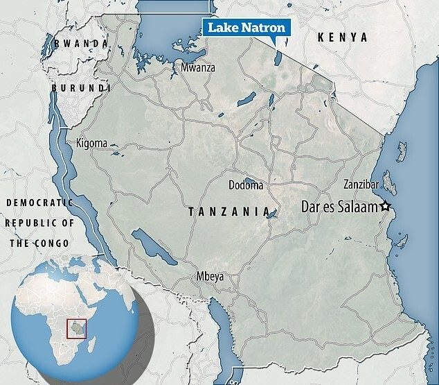 Жуткое кровавое озеро в Танзании, в котором каменеет всё живое