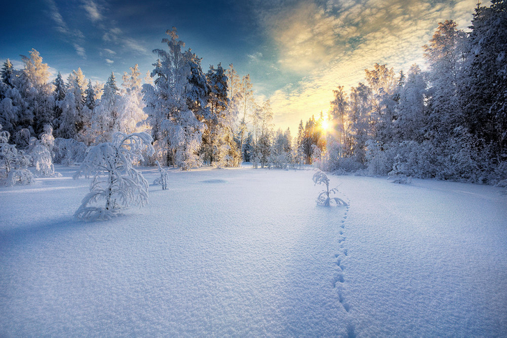 17 тревел-снимков в разных уголках планеты, доказывающих, что зима — это чудесно!