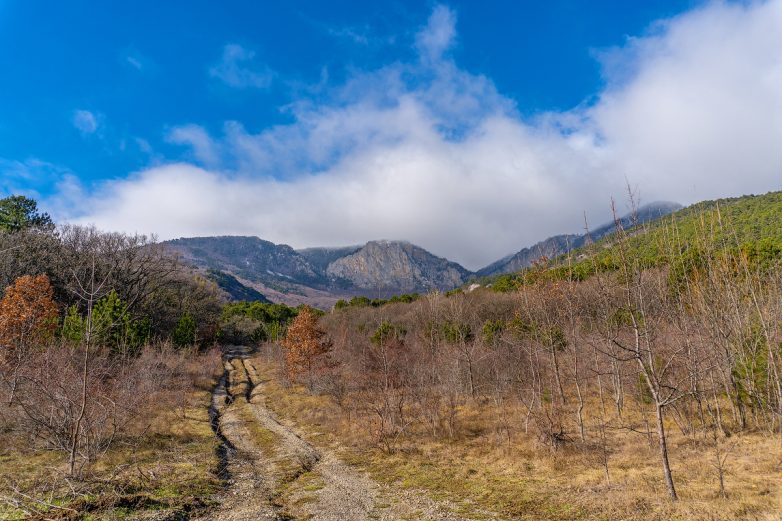 Красота в горах Крыма