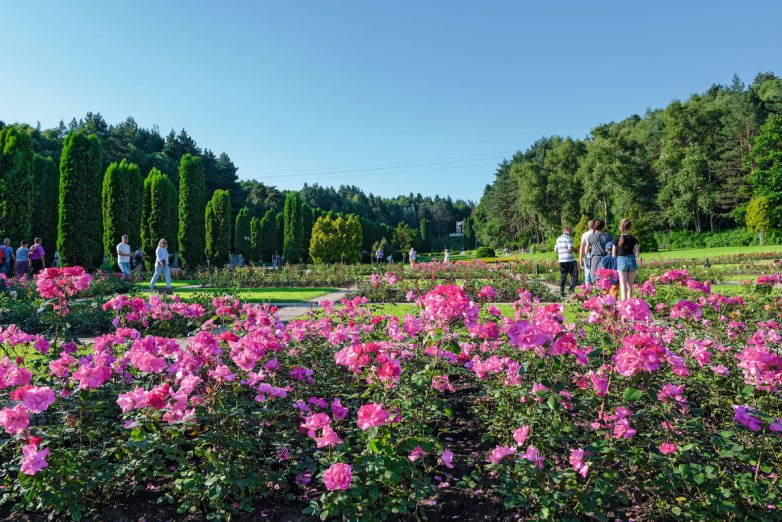 Город солнца и нарзана