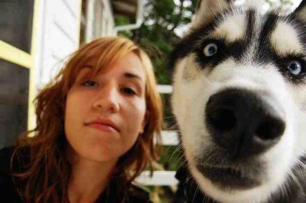 29 самых популярных селфи собак, которые потрясли весь мир