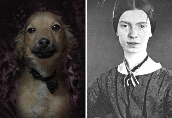 Известные писатели в истории и их двойники-собаки