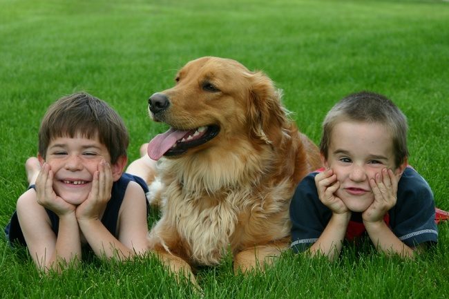12 причин, почему каждый ребенок должен расти с собакой