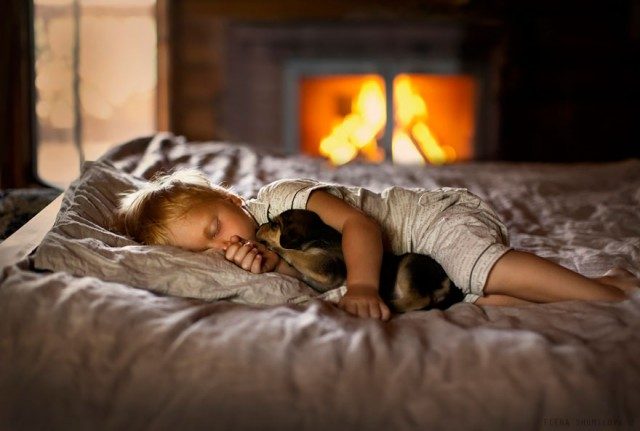 Елена Шумилова и ее уютные фотографии детей и животных