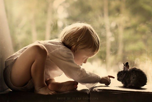 Елена Шумилова и ее уютные фотографии детей и животных