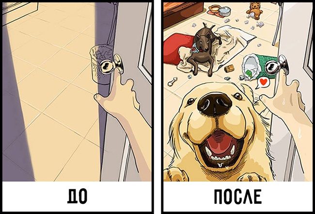 Жизнь до и после появления собаки в доме