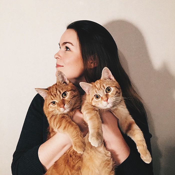 Приключения двух спасённых котов, которые не расставались с первого дня своей жизни