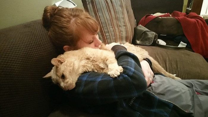 Девушка спасла 21-летнего кота, которого бросил хозяин