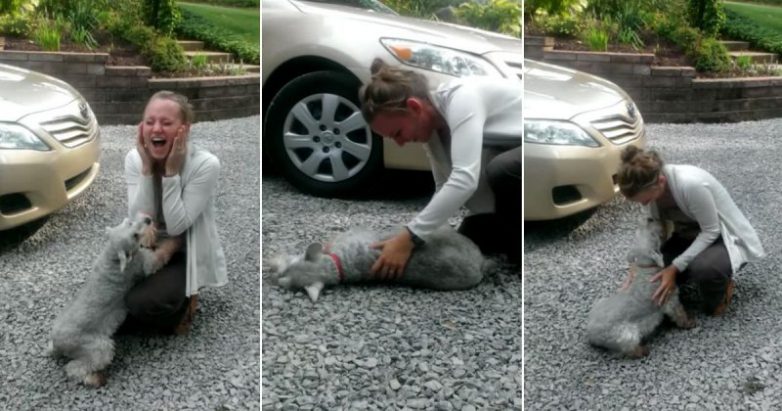 Собака, которая увидела свою хозяйку после 2 лет разлуки и потеряла сознание