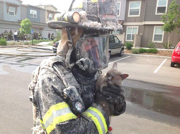 Смелые пожарные, спасающие животных из огня