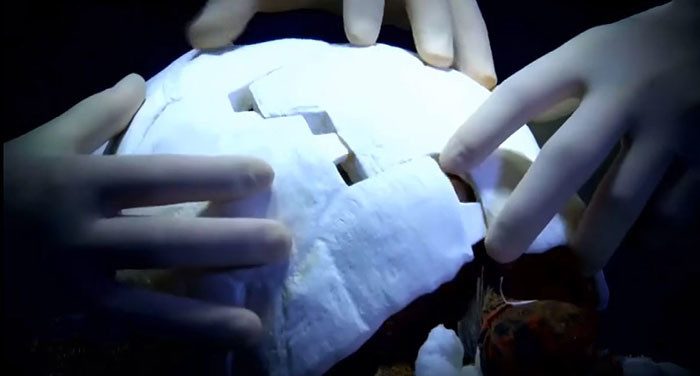 Черепаха получила первый в мире панцирь, распечатанный на 3D-принтере