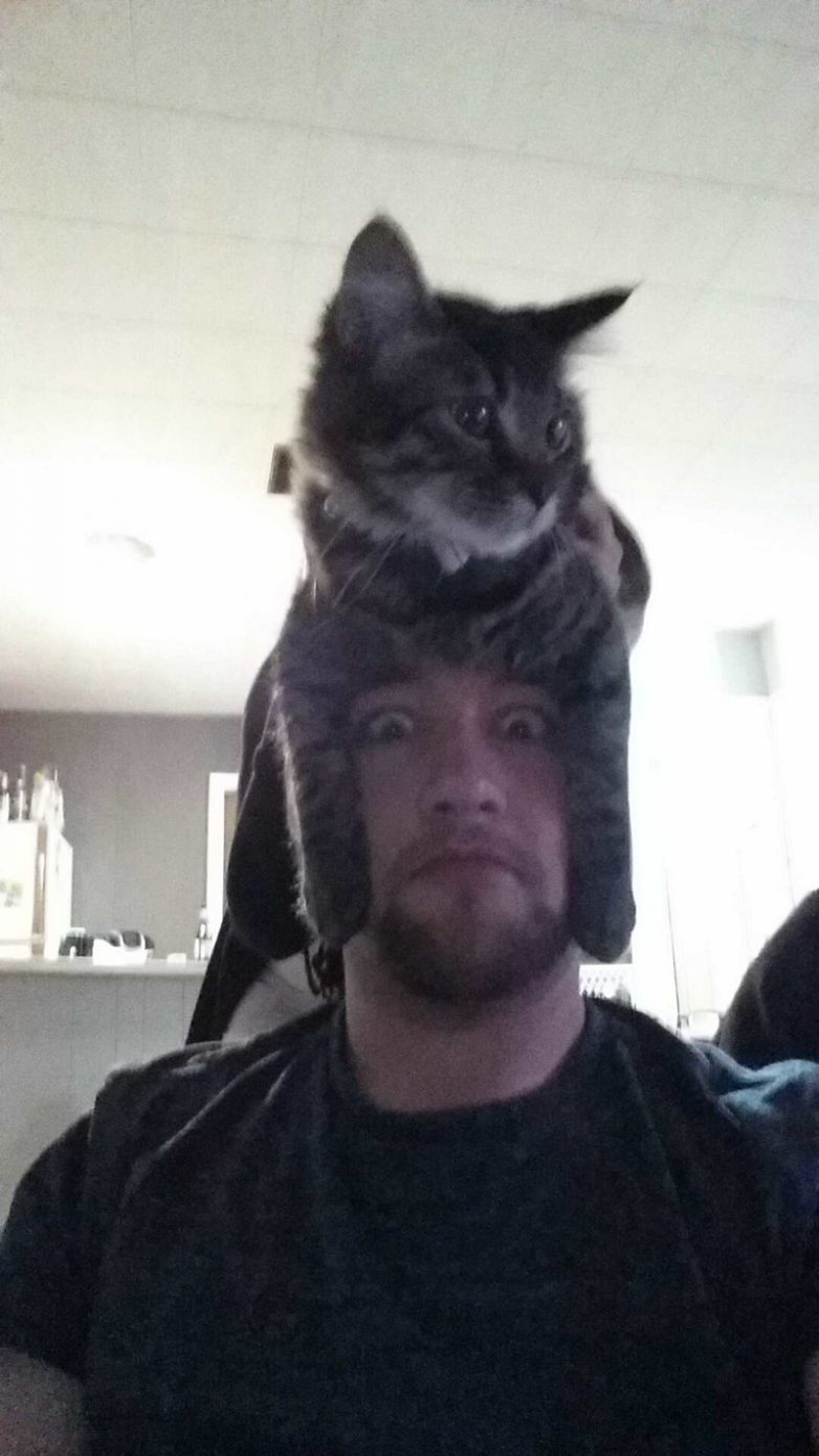 Фотографии, после просмотра которых вы тоже решите положить кота себе на голову