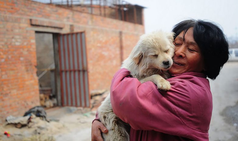 Китаянка спасает собак