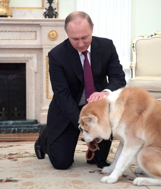 Путин показал подаренную ему собаку Юмэ