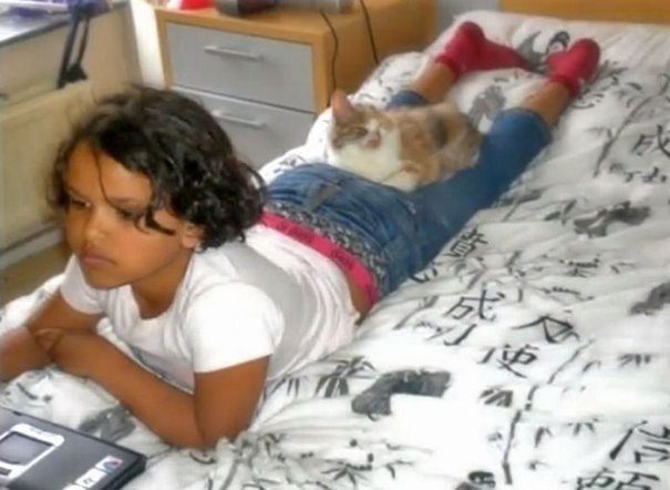 7-летняя девочка спасла котёнка